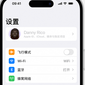 安新appleID维修服务iPhone设置中Apple ID显示为灰色无法使用 