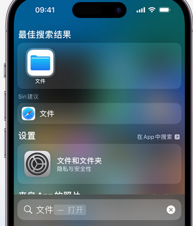 安新apple维修中心分享iPhone文件应用中存储和找到下载文件 