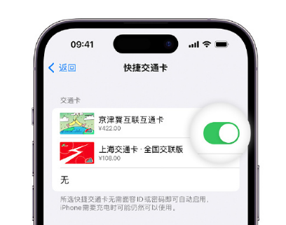 安新apple维修点分享iPhone上更换Apple Pay快捷交通卡手绘卡面 