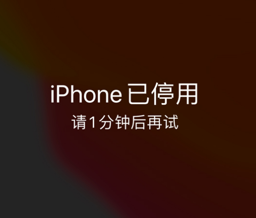 安新苹果手机维修分享:iPhone 显示“不可用”或“已停用”怎么办？还能保留数据吗？ 