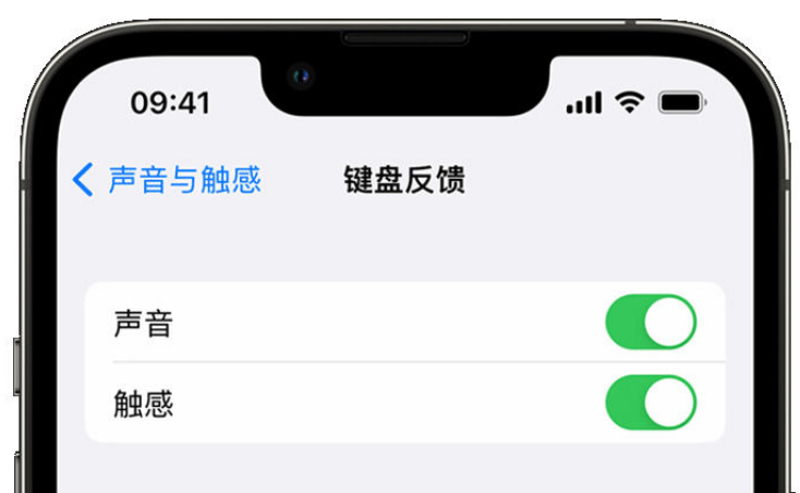 安新苹果手机维修分享iPhone 14触感键盘使用方法 