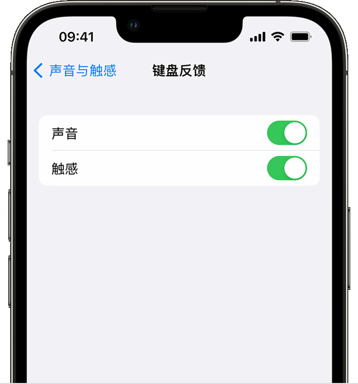 安新苹果14维修店分享如何在 iPhone 14 机型中使用触感键盘 