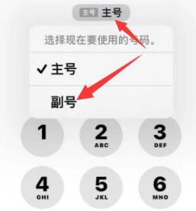 安新苹果14维修店分享iPhone 14 Pro Max使用副卡打电话的方法 