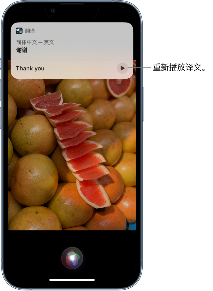 安新苹果14维修分享 iPhone 14 机型中使用 Siri：了解 Siri 能帮你做什么 