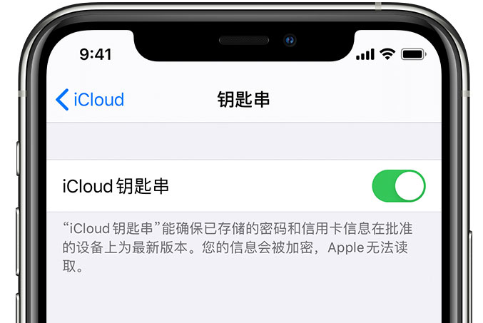 安新苹果手机维修分享在 iPhone 上开启 iCloud 钥匙串之后会储存哪些信息 