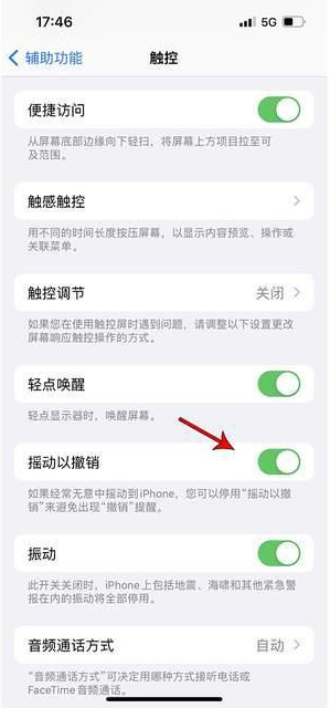 安新苹果手机维修分享iPhone手机如何设置摇一摇删除文字 