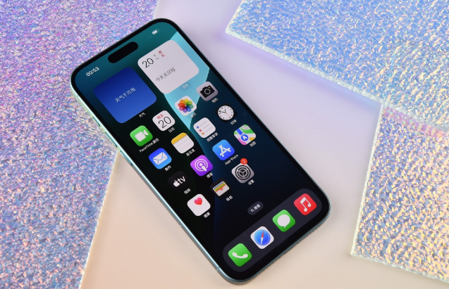 安新苹果手机维修分享为什么大家不喜欢苹果iPhone 16 Plus 