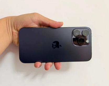 安新苹果维修点分享iPhone 14 Pro Max发烫多重诱因剖析 